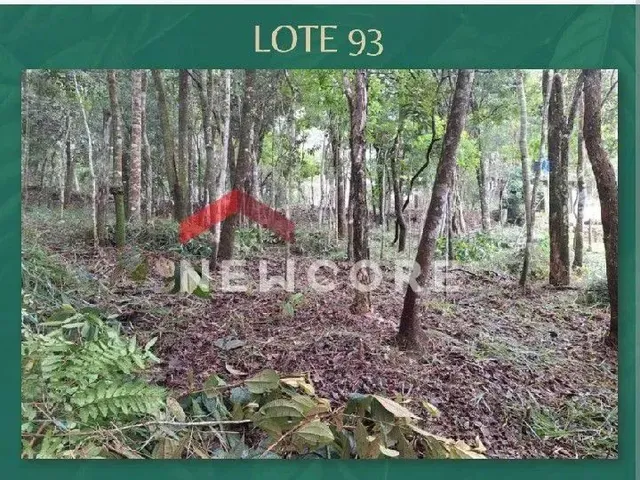 Imagem 6: Lote em Alameda do Encantado - Pasárgada - Nova Lima/Mg