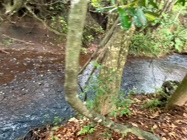 Imagem: Terreno Módulo Rural em Juatuba