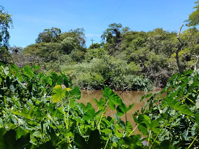 Imagem: Terreno 12 Hectares em Nova União