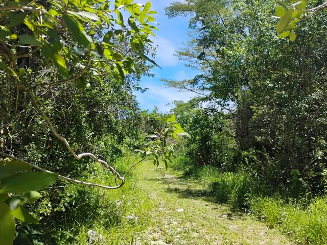 Imagem 3: Terreno 12 Hectares em Nova União