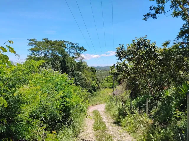 Imagem 5: Terreno 12 Hectares em Nova União