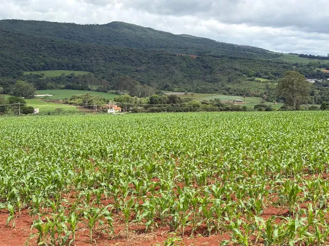 Imagem 1: Terreno 2Hc Serra Azul Igarapé/Mateus Leme