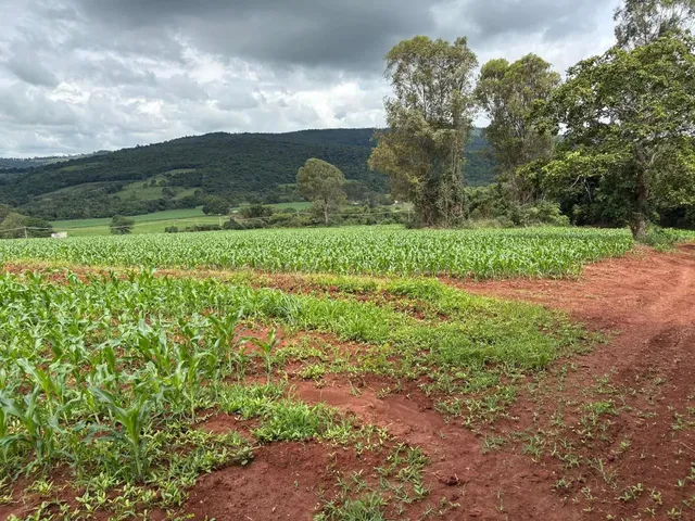 Imagem 3: Terreno 2Hc Serra Azul Igarapé/Mateus Leme