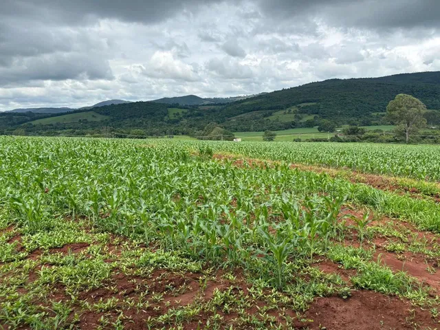 Imagem 4: Terreno 2Hc Serra Azul Igarapé/Mateus Leme