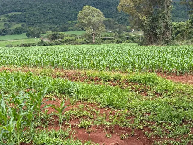 Imagem 5: Terreno 2Hc Serra Azul Igarapé/Mateus Leme