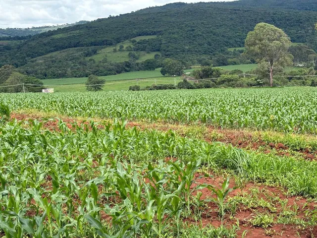 Imagem 6: Terreno 2Hc Serra Azul Igarapé/Mateus Leme