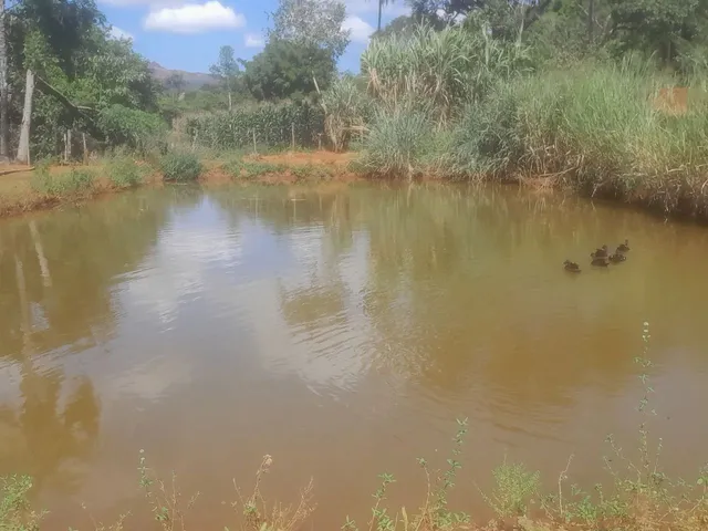 Imagem: Terreno com Lagoa