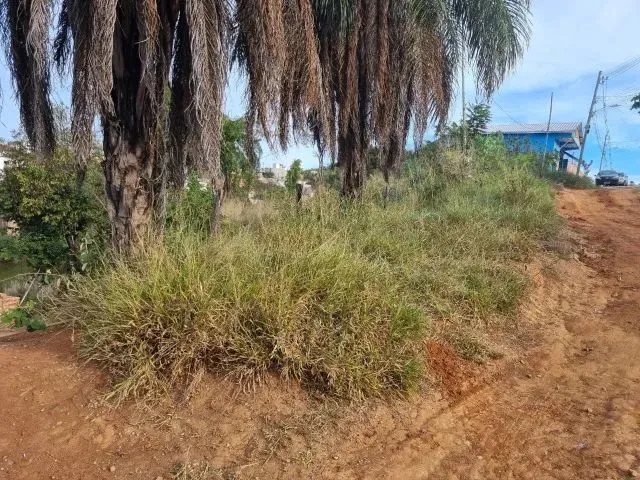 Imagem: Lote de 360M² para Sair do Aluguel e Construir