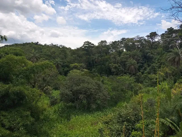 Imagem 2: Chácara com Água e Luz 2 Km Asfalto