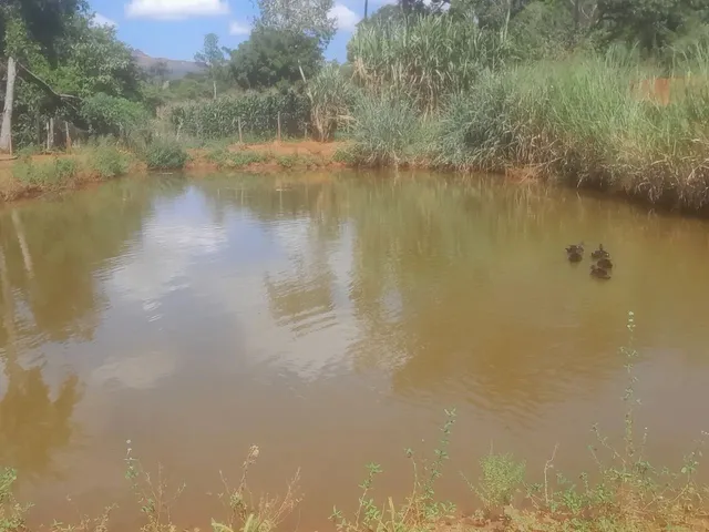 Imagem: Terreno com Lagoa em Serra Azul