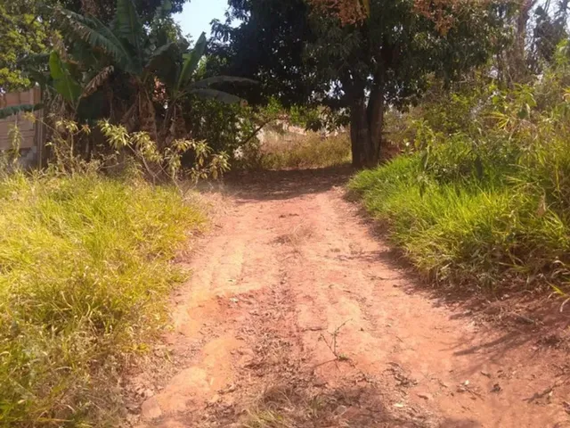 Imagem: Lote em Matheus Leme - Imperdível!