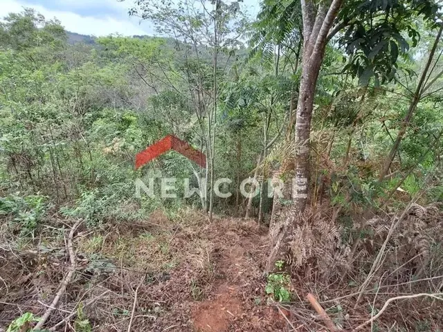Imagem 8: Chácara em Racho Queiroga - Zona Rural - Caeté/Mg