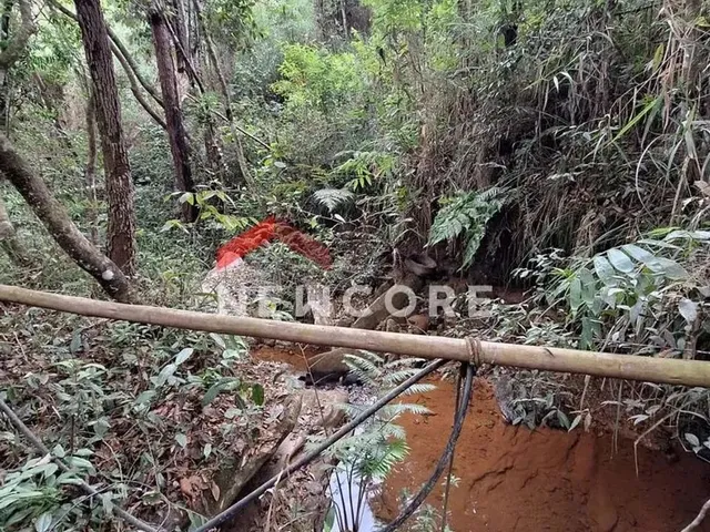 Imagem 11: Chácara em Racho Queiroga - Zona Rural - Caeté/Mg
