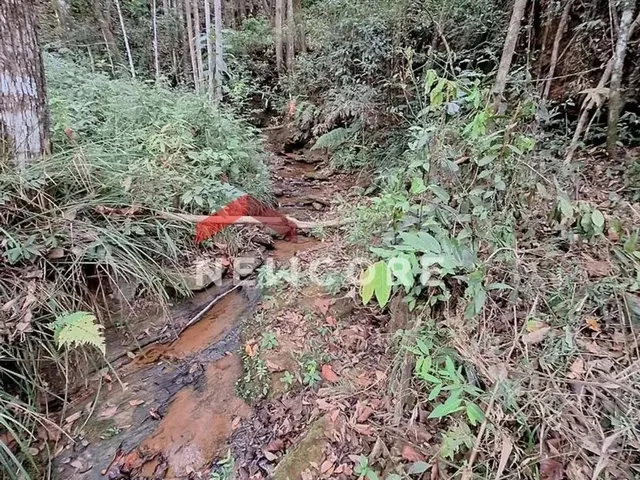 Imagem 9: Chácara em Racho Queiroga - Zona Rural - Caeté/Mg
