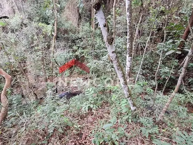 Imagem 10: Chácara em Racho Queiroga - Zona Rural - Caeté/Mg
