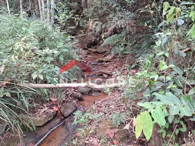 Imagem 7: Chácara em Racho Queiroga - Zona Rural - Caeté/Mg