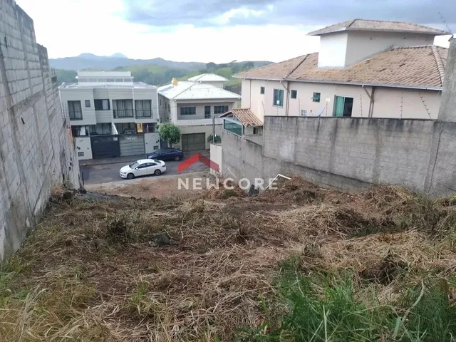 Imagem: Lote em Rua dos Ipês - Novo Horizonte