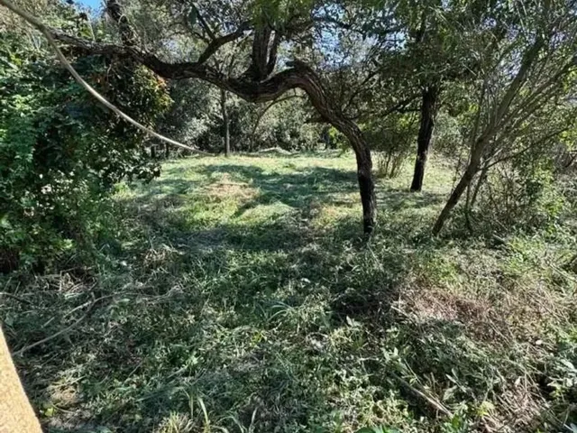 Imagem 1: Lote para Venda em Sarzedo, Vila Satelite