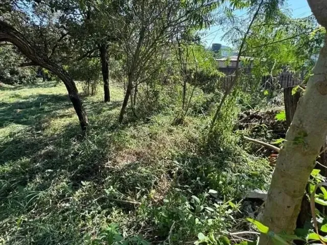 Imagem 4: Lote para Venda em Sarzedo, Vila Satelite