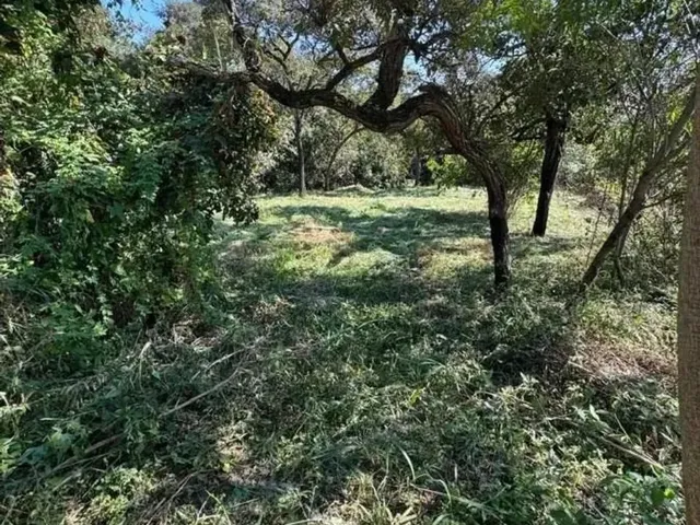 Imagem 3: Lote para Venda em Sarzedo, Vila Satelite