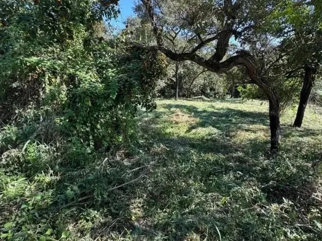 Imagem 2: Lote para Venda em Sarzedo, Vila Satelite