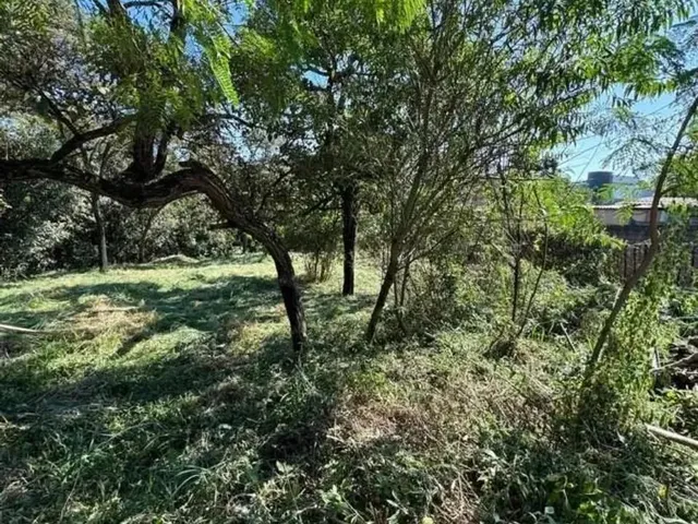 Imagem 5: Lote para Venda em Sarzedo, Vila Satelite