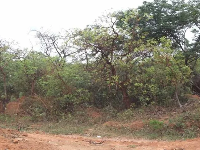 Imagem 6: Lote 1.00M², com Água, Luz /Serra do Cipó, Temos Varias Opções