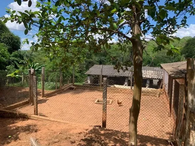 Imagem 9: Sito 20.00M² Excelente Casa Nova, Criatório de Peixe, Arvores Frutíferas