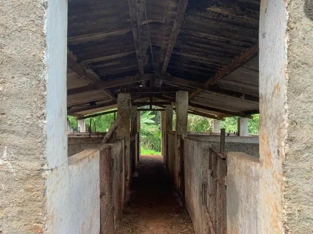 Imagem 2: Sito 20.00M² Excelente Casa Nova, Criatório de Peixe, Arvores Frutíferas