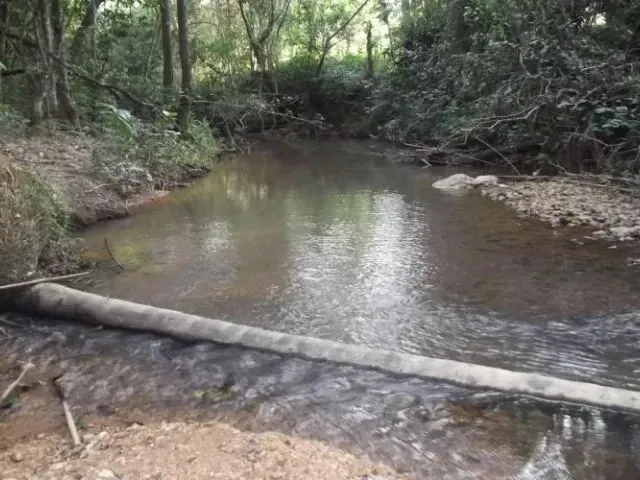 Imagem 8: Sito 20.00M² Excelente Casa Nova, Criatório de Peixe, Arvores Frutíferas