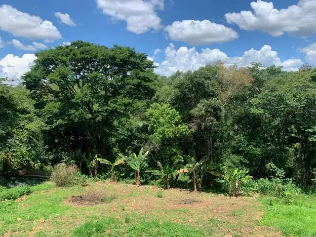 Imagem 10: Sito 20.00M² Excelente Casa Nova, Criatório de Peixe, Arvores Frutíferas