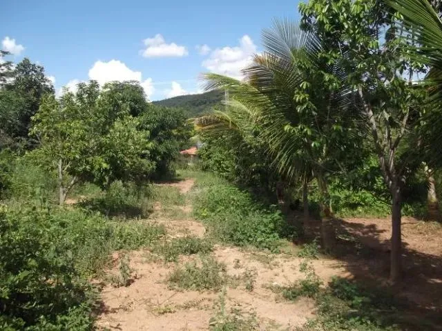 Imagem 3: Oportunidade de Adquirir Seu Sitio em Meio À Natureza, Baldim (Temos Varias Opções)