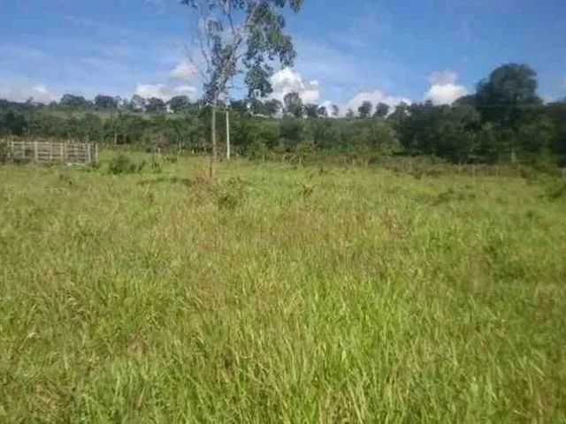 Imagem: Chácara 1.800M² 100 Plana, Toda Terra