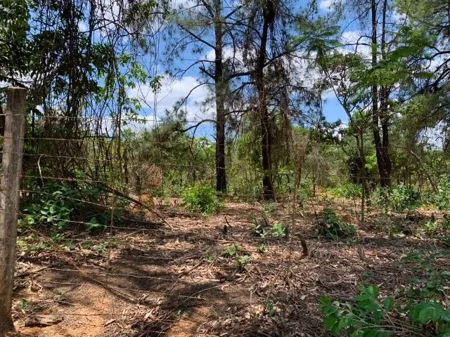 Imagem 6: Lote 1.000M² no Centro de Vargem Grande, Baldim (Temos Várias Opções). Baldim