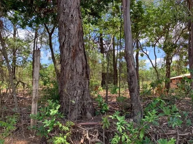 Imagem 7: Lote 1.000M² no Centro de Vargem Grande, Baldim (Temos Várias Opções). Baldim