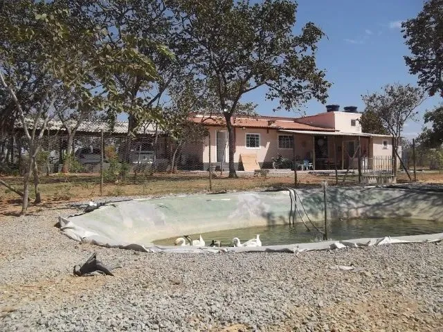 Imagem: Sitio 20.000M² Bem Localizado, com Sauna