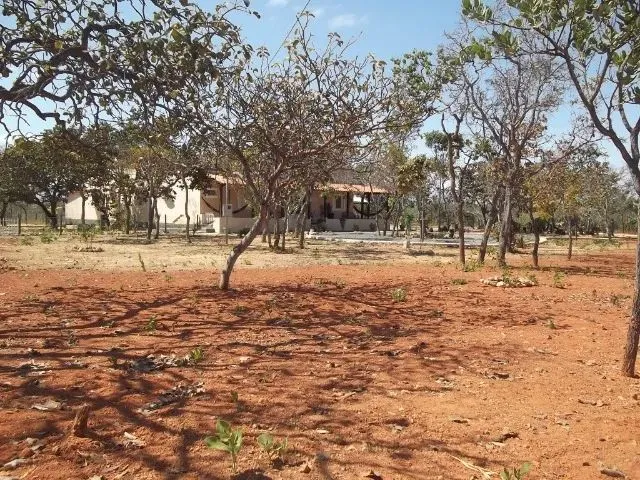 Imagem 5: Sitio 20.000M² Bem Localizado, com Sauna, Piscina, Poço de Peixe Artificial