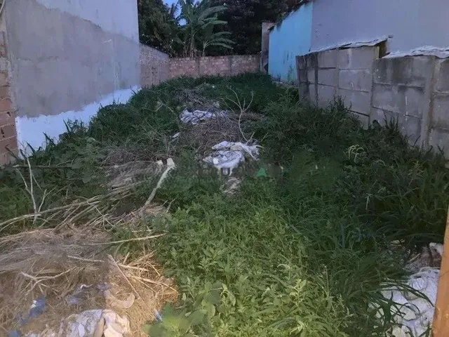 Imagem: Lote no Petrolândia