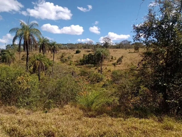 Imagem: Terreno 29Ha, Terra Boa e Quase Todo Formado