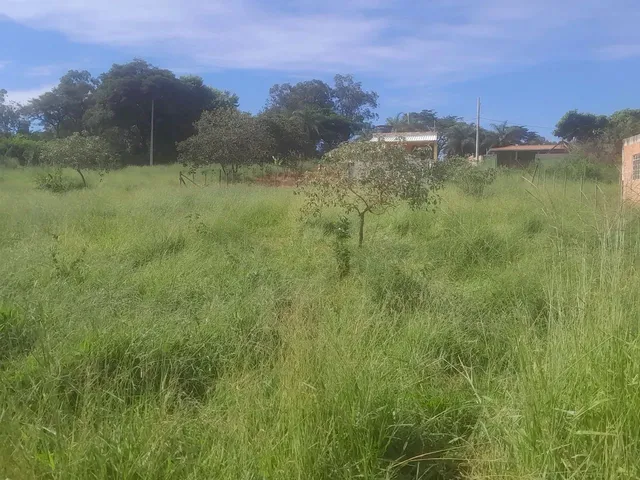 Imagem 5: Terreno com Acesso Asfaltado