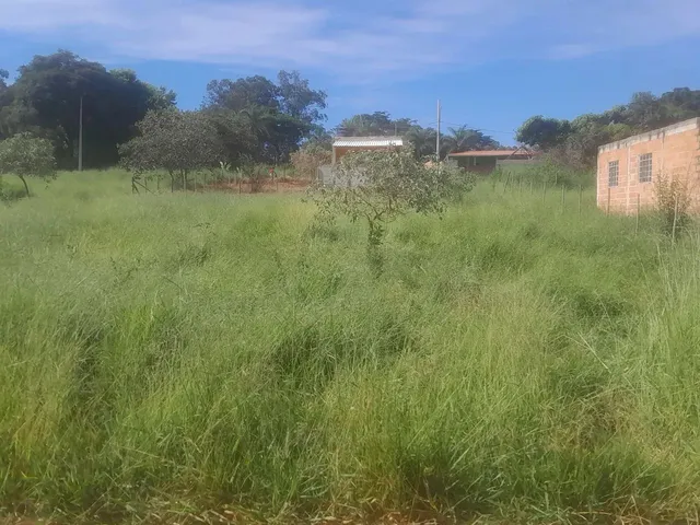 Imagem 3: Terreno com Acesso Asfaltado