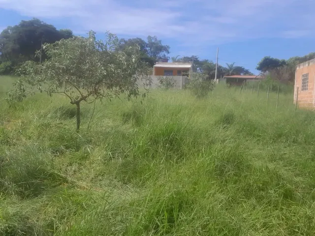 Imagem 7: Terreno com Acesso Asfaltado