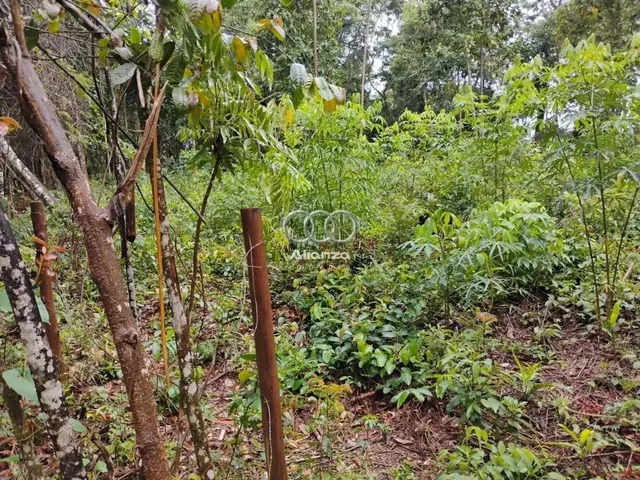 Imagem: Lote À Venda - em Macacos!