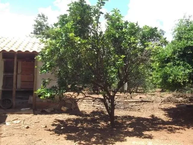 Imagem 7: Pertinho da Serra do Cipó, Maravilhoso Sitio de 4.500M²(Temos Varias Opções)