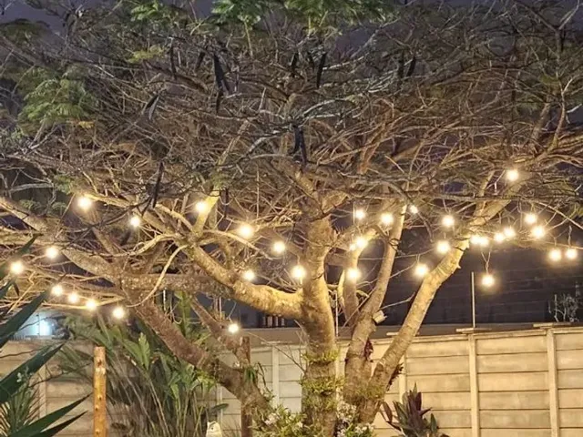 Imagem 15: Sítio dos Sonhos À Venda - Vale do Sol - 5 Lotes 100% Planos
