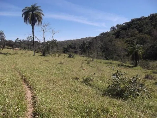 Imagem: Linda Fazenda Sem Sede, de 82 Hectares