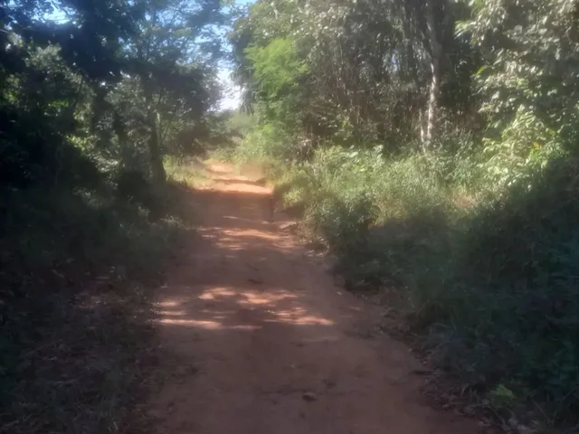 Imagem: Lote de 300 Mts
