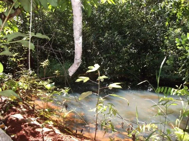 Imagem: Área de 1.700Metros, Terra de Plantio Com,Agua,Luz