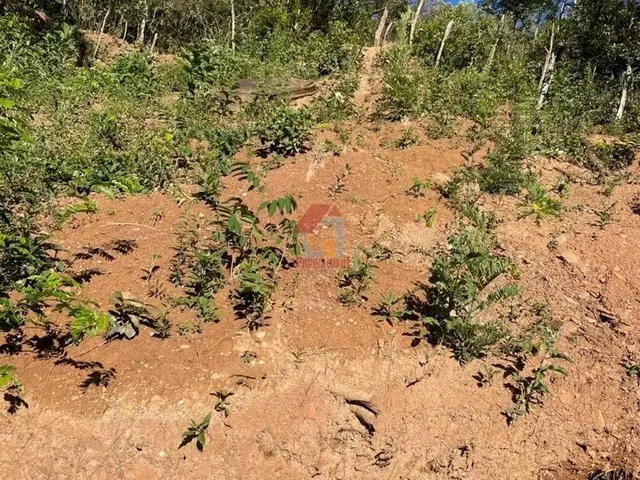 Imagem: Lote À Venda na Vila Industrial
