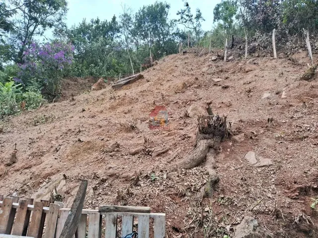 Imagem 4: Lote À Venda na Vila Industrial